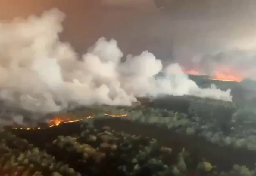 Eropa Terbakar dan Tertekan Oleh Gelombang Panas, Ini Faktanya